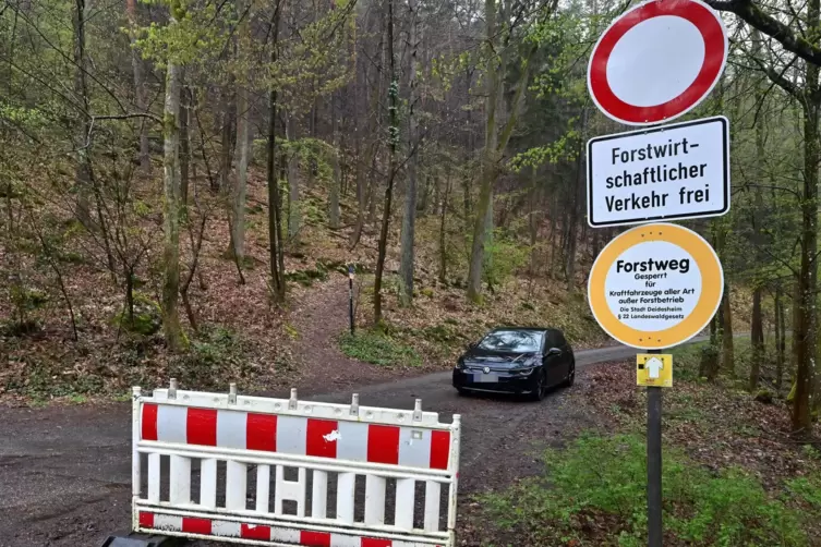 Auf dem Teilstück der ehemaligen K15 bei Lindenberg ist nur Forstverkehr zugelassen.