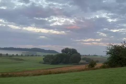 Frühe Herbsteindrücke am Sonntagmorgen zwischen Schneckenhausen und Schallodenbach. 