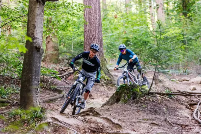 ForstBW stellt neues Konzept für legale Mountainbike-Trails vor