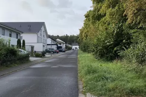 Soll grün bleiben: die bislang unbebaute Seite der Straße Geiersberg in Siegelbach.