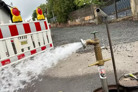 An allen Hydranten der Hochzone Dreisen werden in den nächsten Wochen umfangreiche Spülungen der Trinkwasserleitung erfolgen.