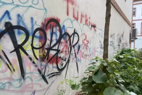 Diese Graffiti dürfen nicht von Jugendlichen unter Anleitung des Hauses der Jugend übermalt werden. 