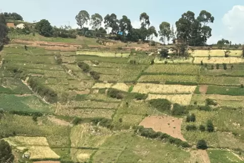Landwirtschaft wird auch auf steilen Hügeln betrieben. 