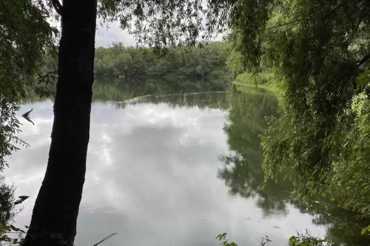 See bei Berghausen: Viele Gew&auml;sser in der Altrhein-Landschaft sind durch Kiesabbau entstanden. 