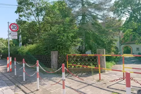 Liegt eine Schule an einer Durchgangsstraße, gilt Tempo 30 nur in einem begrenzten Zeitraum. Vor der Grundschule in Großniedeshe