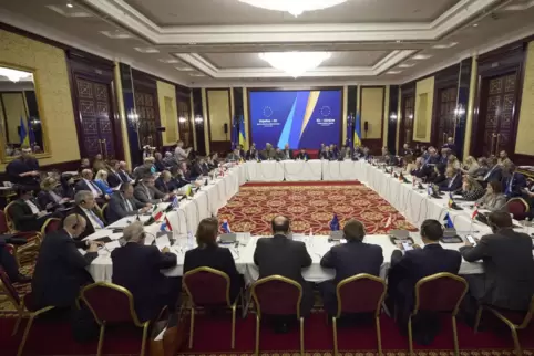 Am Treffen der EU-Außenminister in Kiew nahm auch derukrainische Präsident Wolodymir Selenskyj teil.