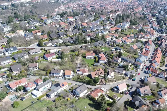 Der Dürkheimer Ortsteil Seebach von oben.