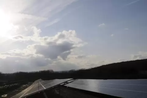 Auf einer Fläche von bis zu 16,5 Hektar könnte in Nanzdietschweiler eine Freiflächen-Photovoltaikanlage entstehen.