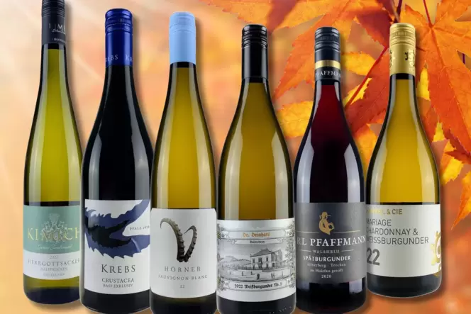 Für sonnige Herbsttage oder als Seelenwärmer: sechs spannende Pfälzer Weine. Für sonnige Herbsttage oder als Seelenwärmer: sechs spannende Pfälzer Weine.