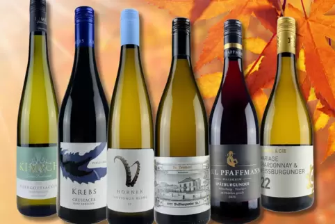 Für sonnige Herbsttage oder als Seelenwärmer: sechs spannende Pfälzer Weine.