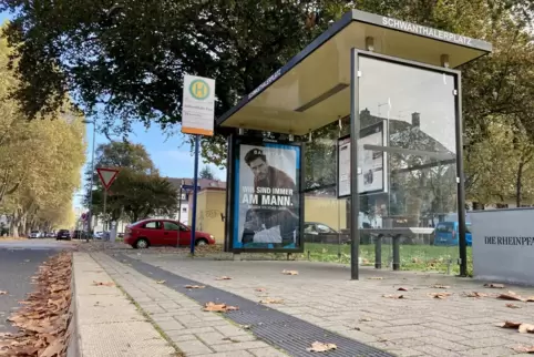 Die Bushaltestellen in Ludwigshafen sollen wie hier auf der Parkinsel barrierefrei sein. Dafür müssen noch viele umgebaut werden