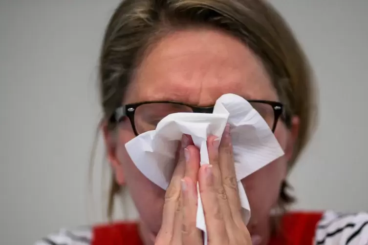 Taschent&uuml;cher als st&auml;ndige Begleiter: Wer erkrankt ist, schnieft meist mehrere Tage.