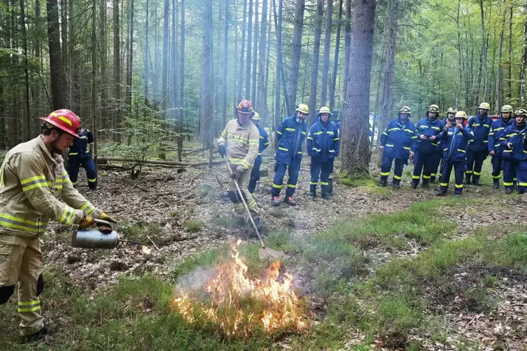 Die Euro-Waldbrand-Experte Edward Olsofi und Christian Schmidt legen Feuer, die THW-Helfer löschen.