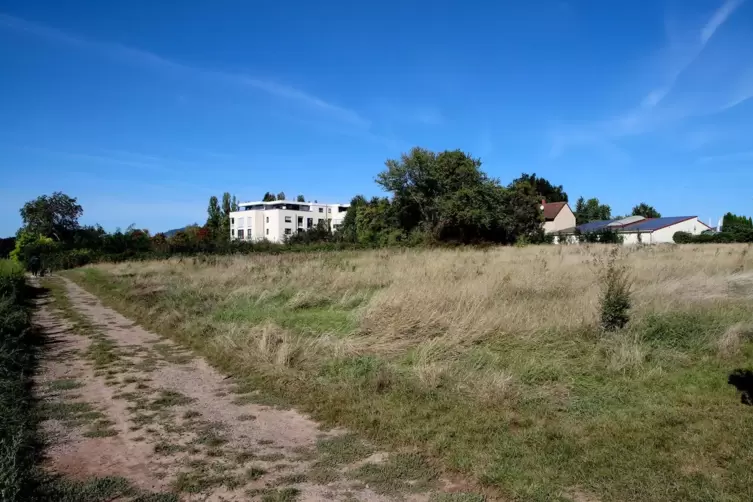 Ein ökologisches und soziales, kleinteiliges Vorzeigeviertel soll auf der Wollmesheimer Höhe geschaffen werden. 