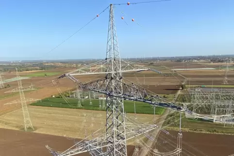 Aus der Vogelperspektive: Alle zwei Jahre inspiziert die Pfalzwerke Netz AG ihr 110-Kilovolt-Netz auch aus der Luft. 