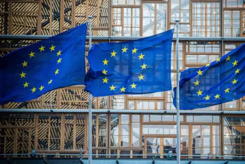 Die Briefe an Pfälzer Unternehmen erwecken den Eindruck, als seien sie offizielle Schreiben der EU-Kommission oder des Europäisc