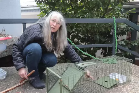 Martina Brand aus Carlsberg ist eine der Tierschützerinnen, die seit vielen Jahren mit Lebendfallen streunende Katzen einfängt, 