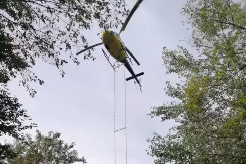 Momentan kreisen wieder vermehrt Hubschrauber über Wäldern, um Kalk auszubringen.