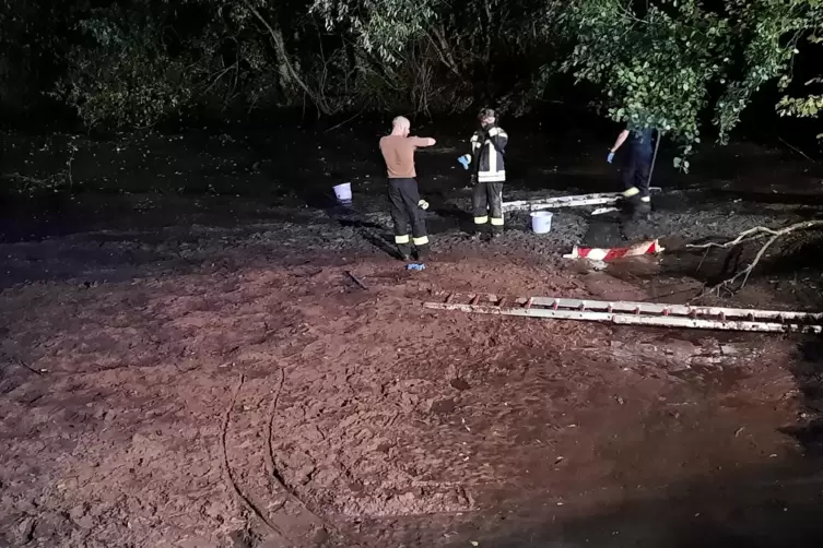 Der Weiher wird vom Schwarzbach gespeist. 
