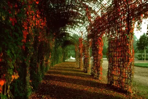 Herbstliche Impression im Schwetzinger Schlossgarten.