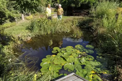 Pflanzenexpertin Sabine Günther und Gartenbesitzer Franz Josef Scheidel überlegen bei einem Rundgang, wie das grüne Refugium für