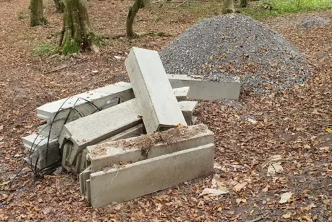 Das hat eine Baufirma, die im Auftrag der Bahn arbeitete, im Wald hinterlassen. 