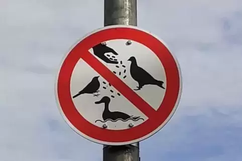 Das Verbotsschild am Bleicherbach. 