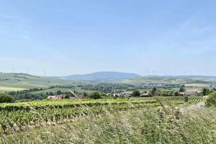 Blick auf den Donnersberg mit Windrädern: Links sind die Anlagen auf dem Rüssinger Berg zu sehen, rechts die auf dem Hungerberg.