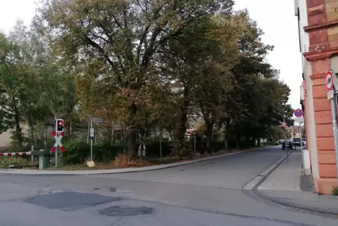 Um die Lindenbäume in der Lauterecker Bahnhofstraße gab es so einige Diskussionen. 