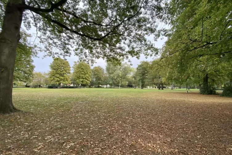 Die Wiese im B&uuml;rgerpark ist gro&szlig; und l&auml;dt Kinder und Erwachsene zu sportlichen Bet&auml;tigungen ein. 