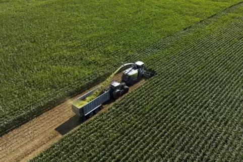 Die Pachtzinsen für landwirtschaftlich genutzte Flächen in Rheinland-Pfalz ziehen allgemein an. Jetzt erhöht auch Lambsheim den 