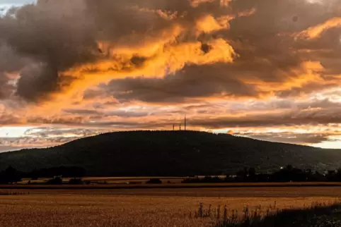 RHEINPFALZ-Leser machen Vorschläge: Wer hat 2023 etwas Besonderes geleistet rund um den höchsten Berg der Pfalz? RHEINPFALZ-Leser machen Vorschläge: Wer hat 2023 etwas Besonderes geleistet rund um den höchsten Berg der Pfalz?