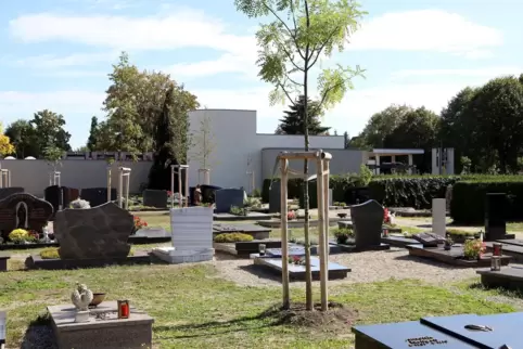 Auf dem Friedhof wurden einige der neuen Bäume gepflanzt, die für mehr Grün im Ort sorgen sollen.
