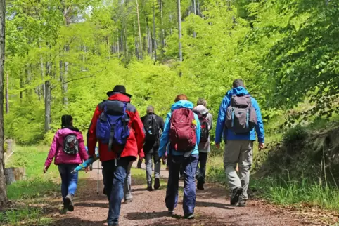 Ein gut gepackter Rucksack darf bei einem Wandertag im Pfälzerwald nicht fehlen. 