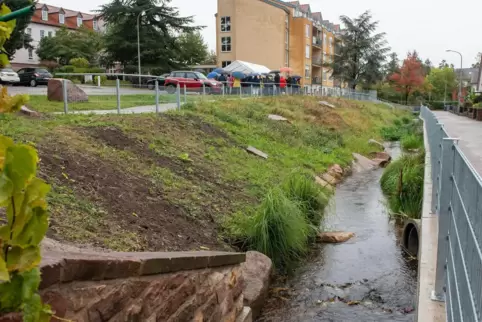 Für manche Edenkobener nicht wiederzuerkennen: der Triefenbach nach der Renaturierung im Bereich des Bachwegs. 