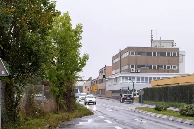 Schon am nördlichen Ortseingang soll sich die Stadt Edenkoben attraktiver präsentieren. Gelingen soll das etwa durch eine Begrün Schon am nördlichen Ortseingang soll sich die Stadt Edenkoben attraktiver präsentieren. Gelingen soll das etwa durch eine Begrün