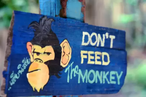 Wenn – wie hier in Thailand – Schilder davor warnen, Affen zu füttern, sollten Touristen das beherzigen.