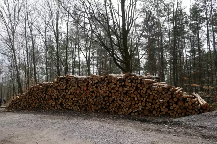 Holzpolter auf dem Gebirgspass Bildbaum auf der Gemarkung Diedesfeld: Als Rohstoff wird Holz weiter stark nachgefragt. 