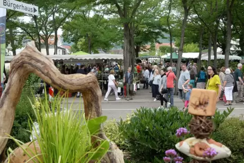 Seit vielen Jahren ein Publikumsmagnet: der Gartenmarkt, der im August stattfindet. 