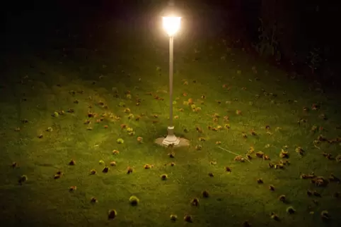 Licht ins Dunkel: Für die Tierwelt kann zu viel und zu helles Licht im Garten schädlich sein, sagt Sabine Frank. 