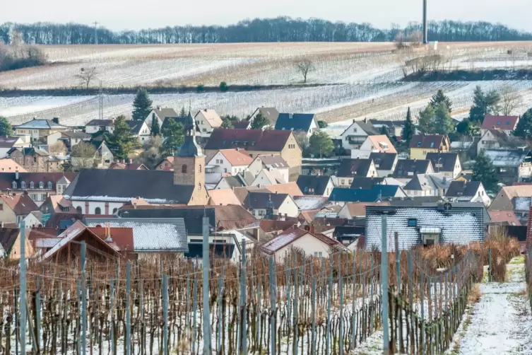 Auch im Winter schön: Ausblick vom Pfälzer Weinsteig bei Klingenmünster. 