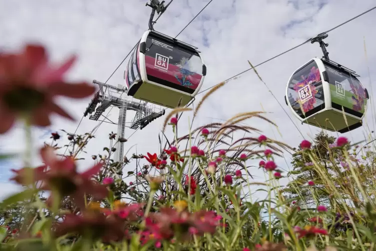 Die Bundesgartenschau in Mannheim ging im Oktober zu Ende. Kaiserslautern hat touristisch profitiert. 