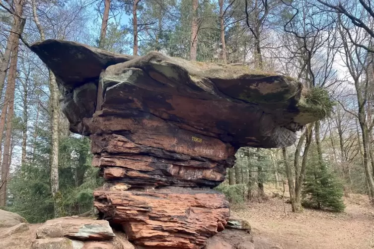 Ein Felsklotz als Ritterstein: Der „Tisch“ im Wald bei Oberotterbach ist Ritterstein Nr. 20 und gehört in die Kategorie „Orienti