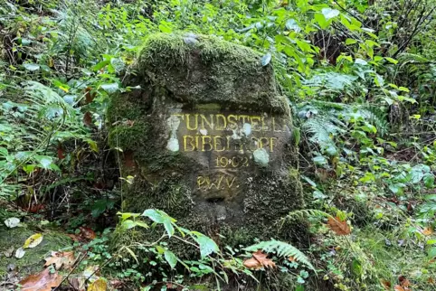 Sensationell: „Fundstelle Biberkopf 1902“, ein Ritterstein im Wald zwischen Niederschlettenbach und Bobenthal.