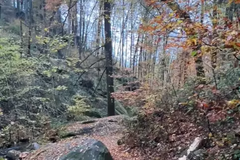 An dieser Stelle in der Karlstalschlucht ereignete sich das Unglück. Der Weg ist derzeit gesperrt.