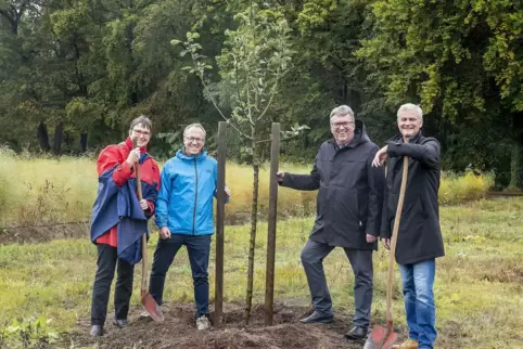 Beim Pflanzen von Obstbäumen: (von links) Ute Bahrs, Oliver Kolb, Clemens Körner und Bernd Helmig