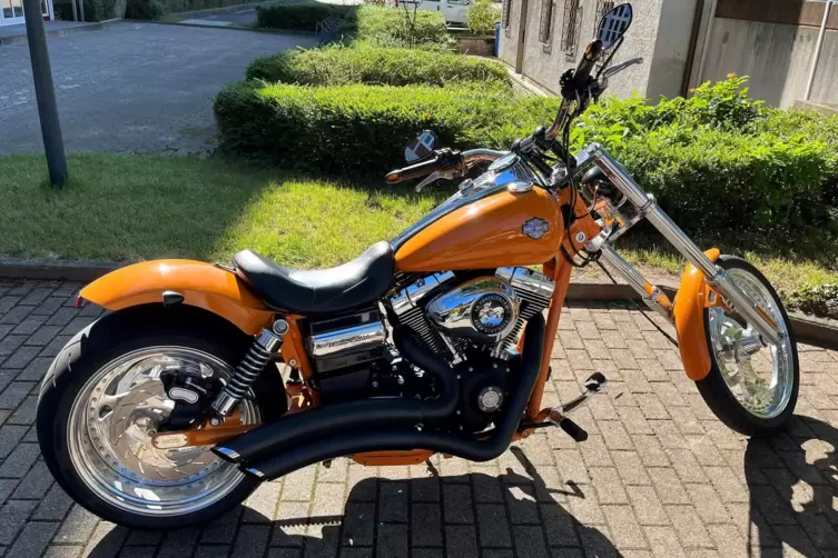 Bei sch&ouml;nem Wetter f&auml;hrt Max Simon nat&uuml;rlich mit seiner eigenen Harley Davidson zu den VTZ-Spielen. Sp&auml;testens, wenn das erste S