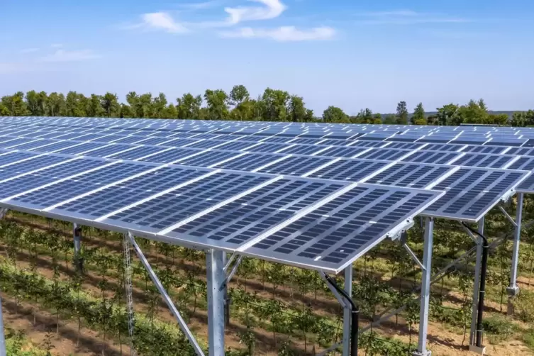  Agri-Photovoltaik-Anlagen sind für den Präsident des Bauern- und Winzerverbands, Eberhard Hartelt, keine Lösung. Er meint: Bevo