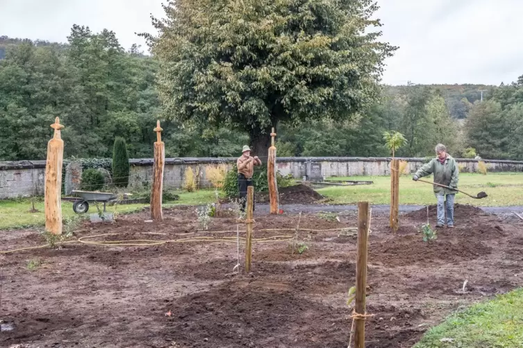 Soll zum Naschgarten werden: Im Paradiesgarten Niederkirchen wurden 20 unterschiedliche Gehölze angepflanzt. Sie sollen in einig