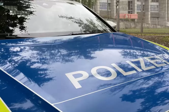 Die Polizei hat einen Mann dingfest gemacht, der den »Blitzer« der Stadt Ramstein-Miesenbach mit Farbe attackiert hatte.